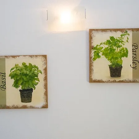 Apartmani Pavo Apartment *